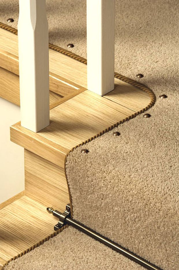 Stair carpet ideas|Foyer in modern home with purple carpeted stairs
