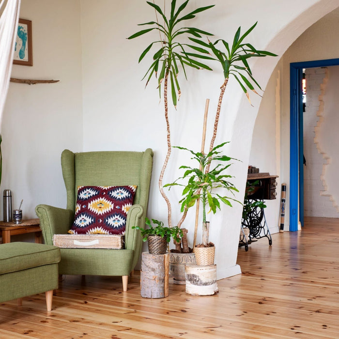 colourful door frame in living room||