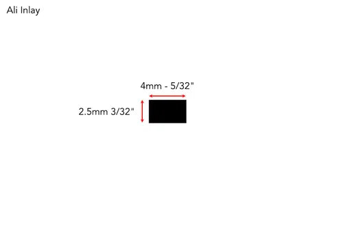 Ali Inlays - Satin Nickel (Box of 25)