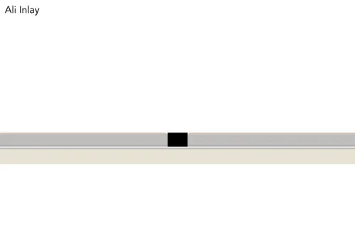Ali Inlays - Black (Box of 25)